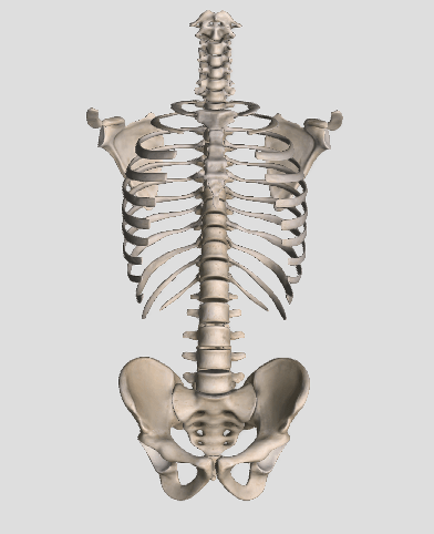 Screen Shot 2017-10-16 at 11.13.31 AM